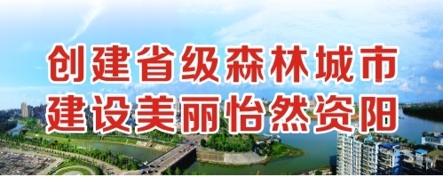 德国妞草逼网创建省级森林城市 建设美丽怡然资阳